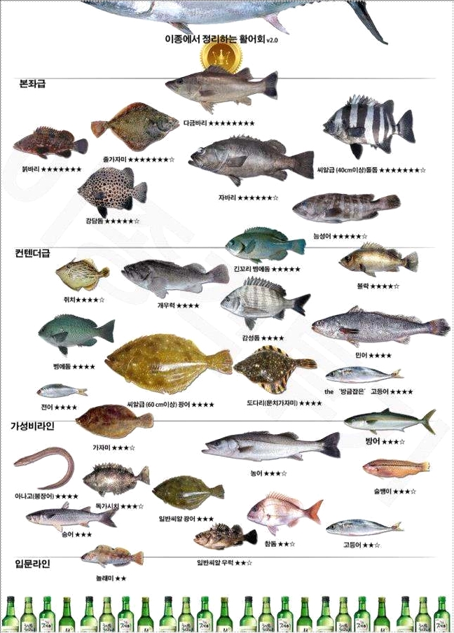 생선회 종류