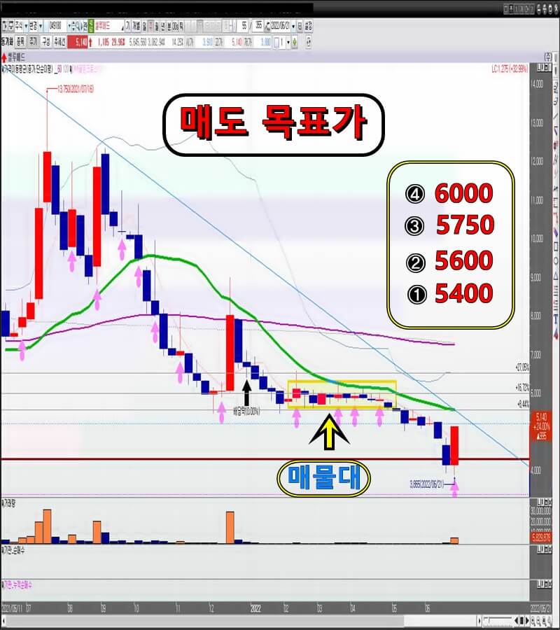 셀루메드-주-봉-차트