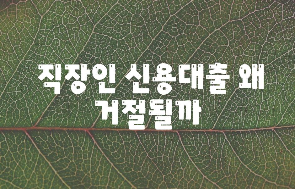  직장인 신용대출 왜 거절될까