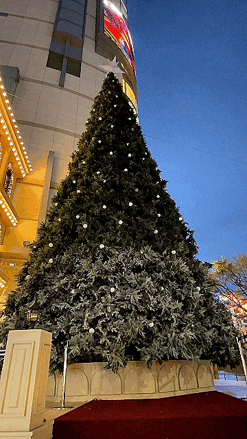  [명동] CHRISTMAS DREAM MOMENTS <롯데백화점 본점>(feat.위치
