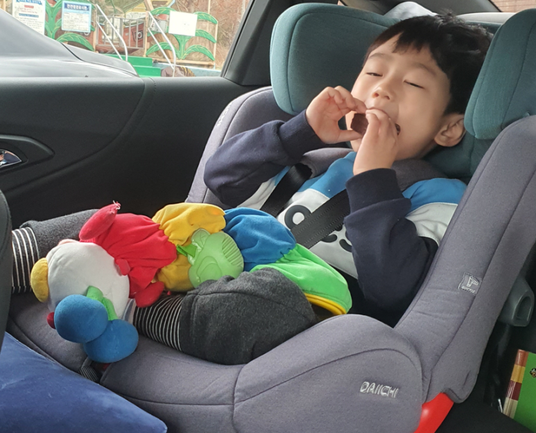 쥬라기체험 이미지