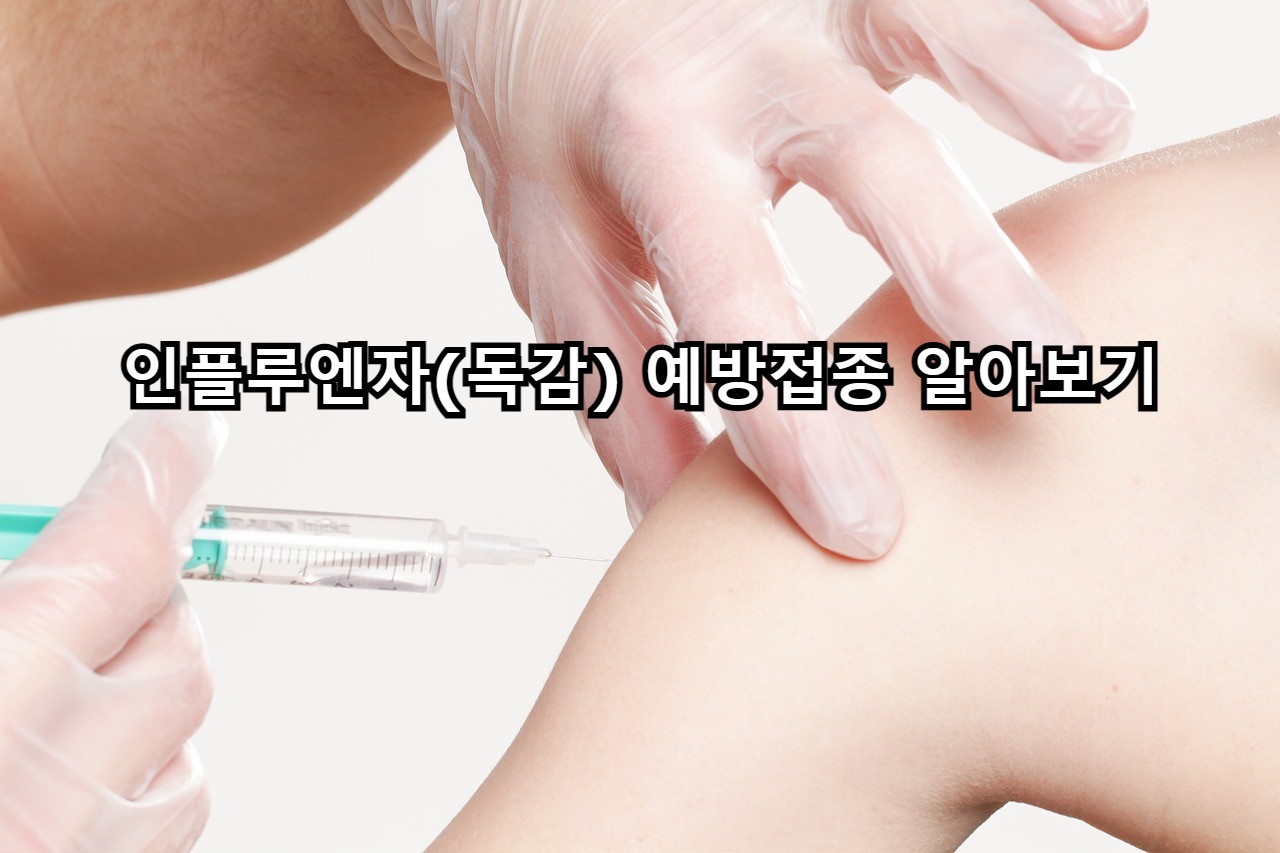  2023년 무료 인플루엔자 독감 예방접종 임산부, 어린이, 어르신은 필수