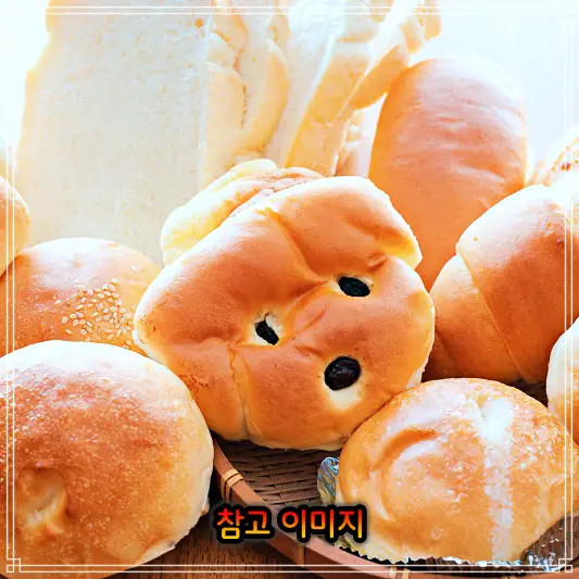  11월27일 생방송 오늘저녁 천연 효모 발효 빵 추천 강원 홍천 농부의 빵집 정직한 재료에 정성까지 빵지순례 성지 통밀빵, 소금빵, 크로와상, 호밀빵 맛집 위치