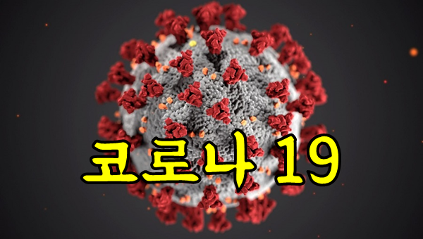  코로나 19(Covid-19) 백신 치료제 임상 시험 결과 2021년 말까지 얻기 힘들것