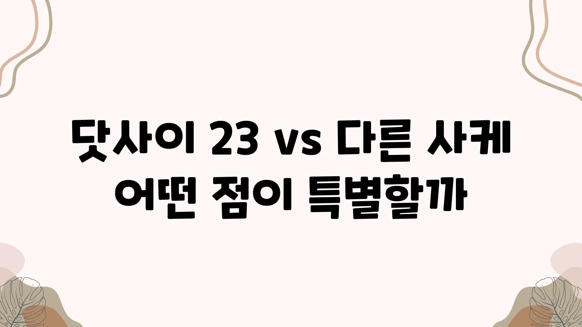 닷사이 23 vs 다른 사케 어떤 점이 특별할까