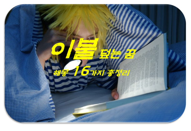  이불꿈 해몽 16가지 총정리