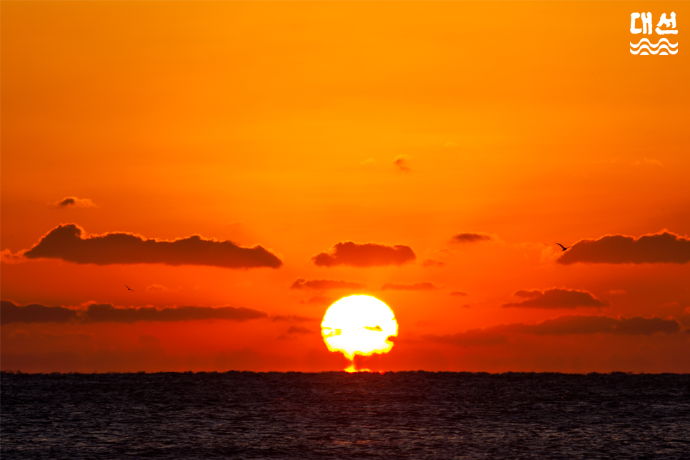 신년 인사집! (직장 상사, 거래처, 부모님, 친구) [2020년 연말 인사] 코로나 인사& 3