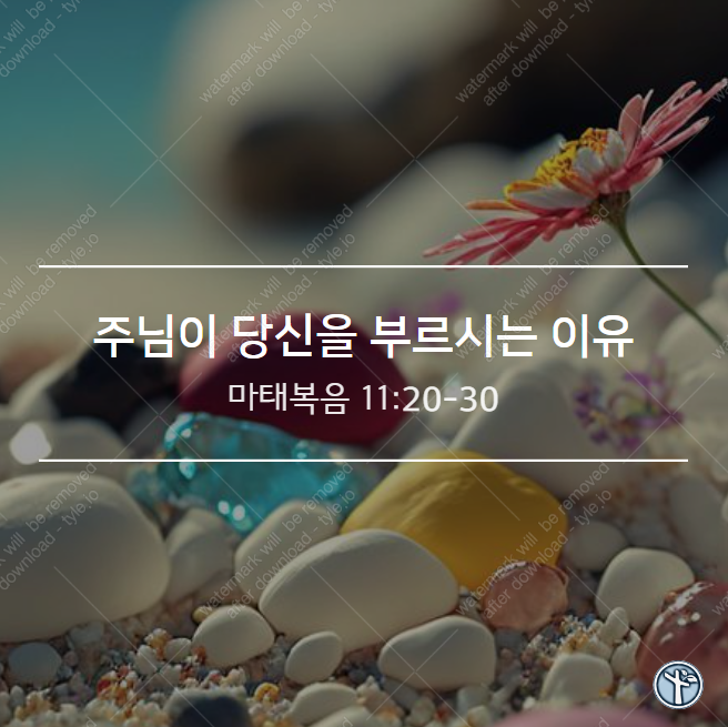  주님이 당신을 부르시는 이유 / 마 11:20-30