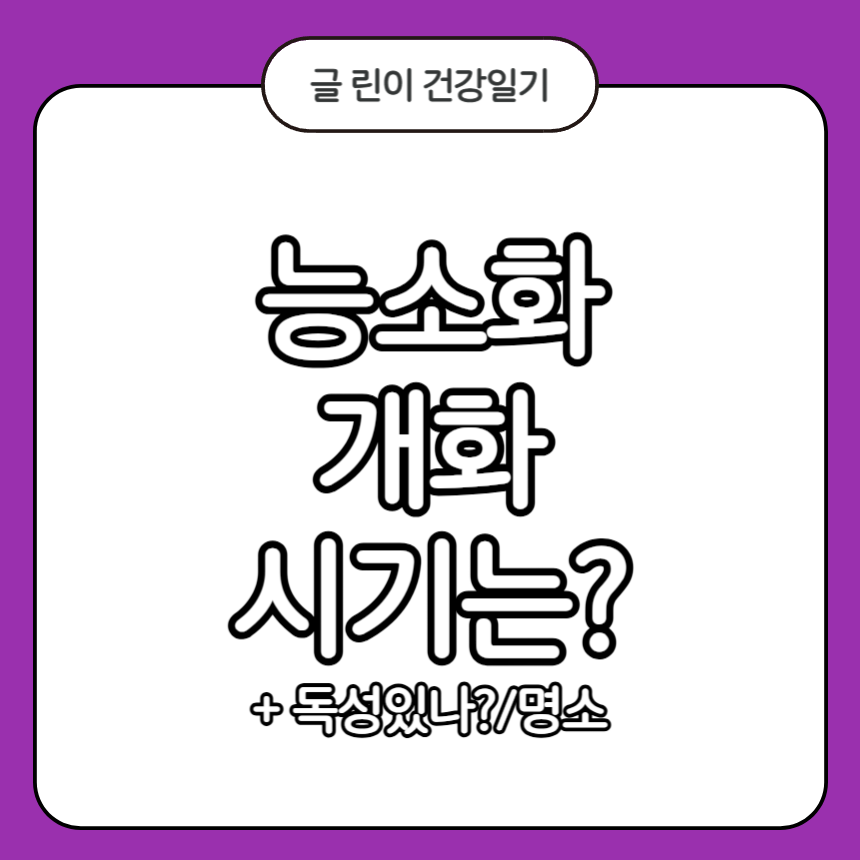 능소화 개화시기