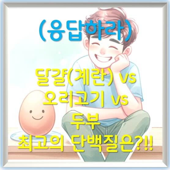 달걀(계란) vs 오리고기 vs 두부 – 최고의 단백질은?