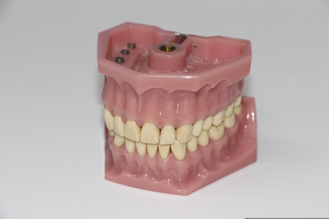 치아