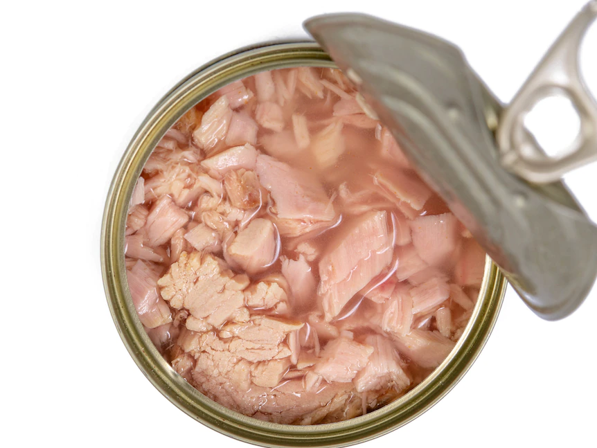 참치캔(can of tuna)