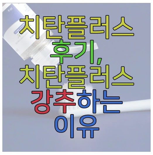 치탄플러스에 관한 글 보러 가기 링크 사진