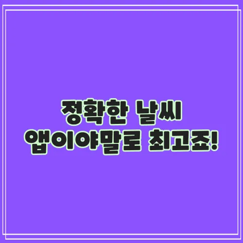 정확한 날씨 앱이야말로 최고죠!