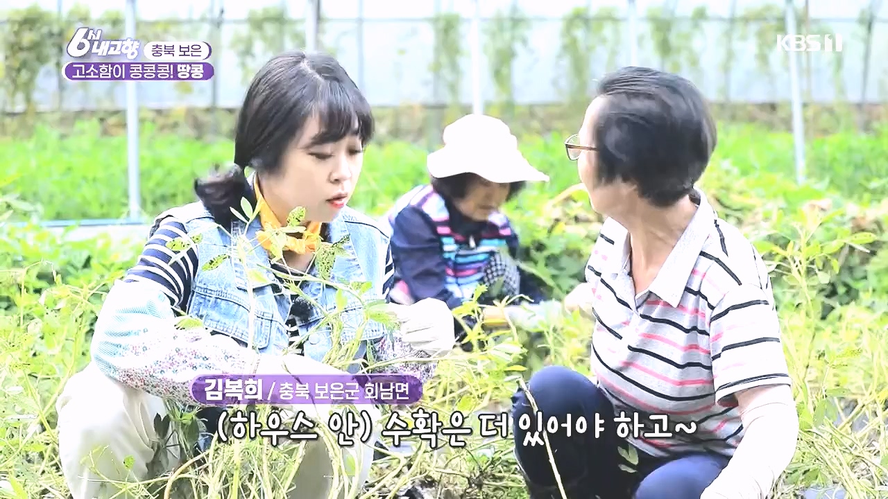 6시 내고향.E7892.231018p.H264-F1RST.mp4_20231018_194659.032.jpg