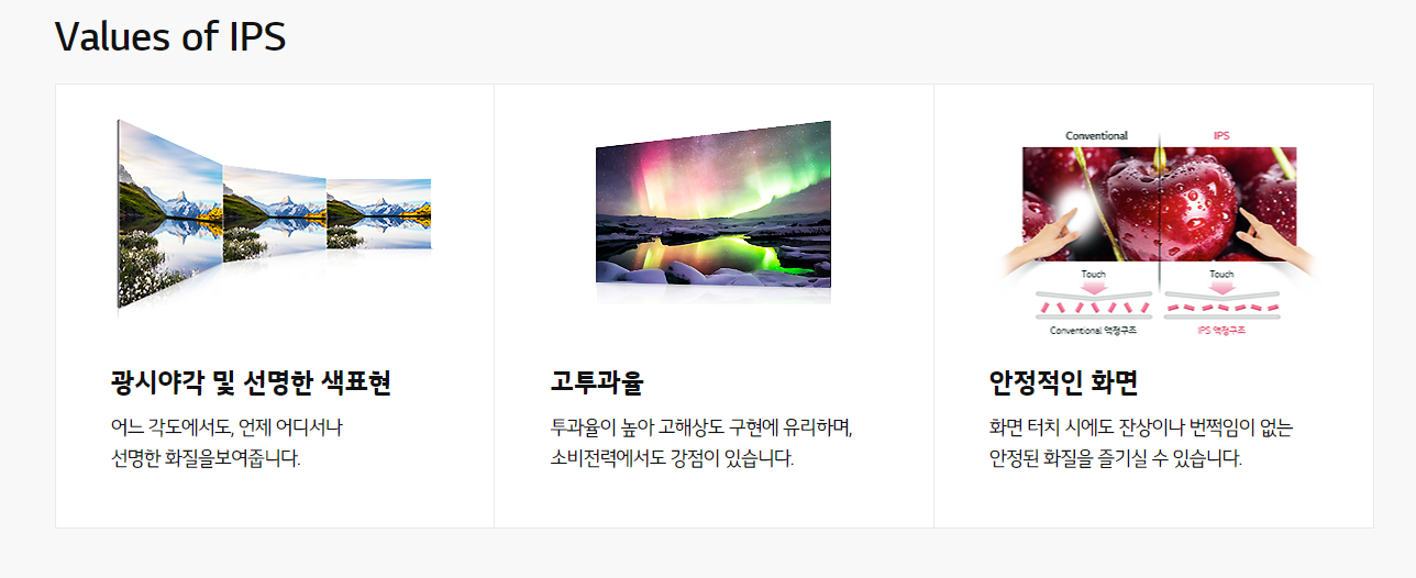 LCO 사업 부문