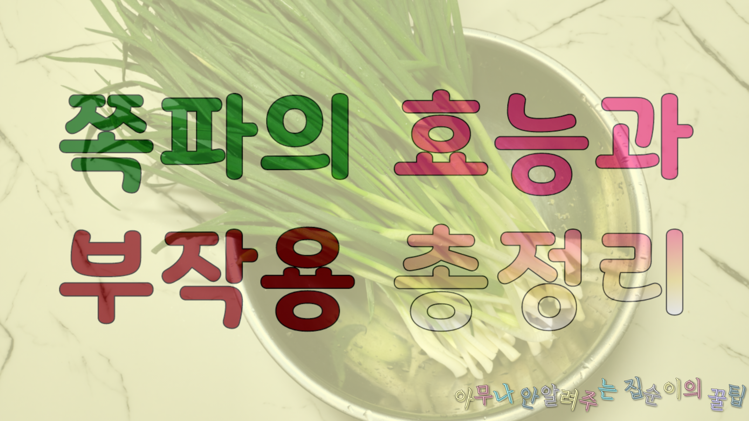 쪽파의-효능과-부작용-총정리(글씨)