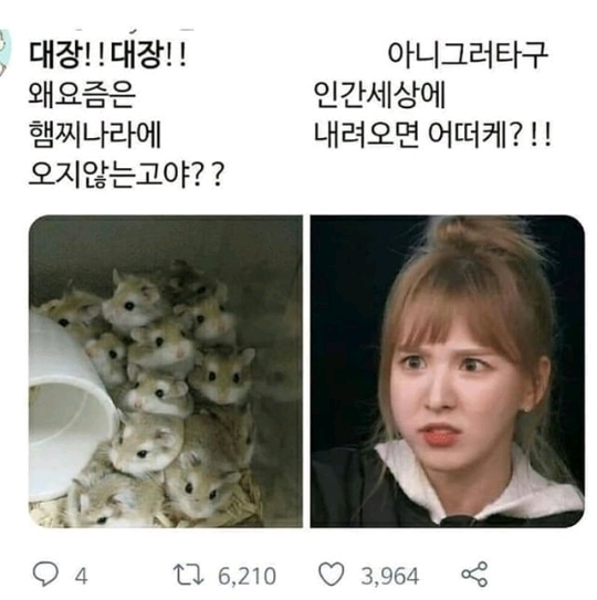  트위터 대장 시리즈 모음