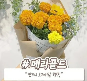 예쁜 꽃말 추천 모음 이해할수록 매력적인 꽃들의 꽃말 안내 모음_21