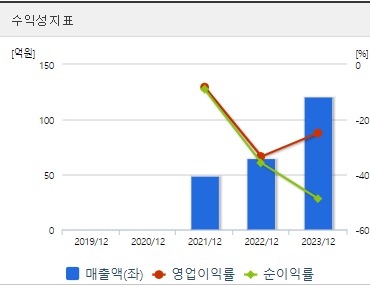 루미르 주가 수익성