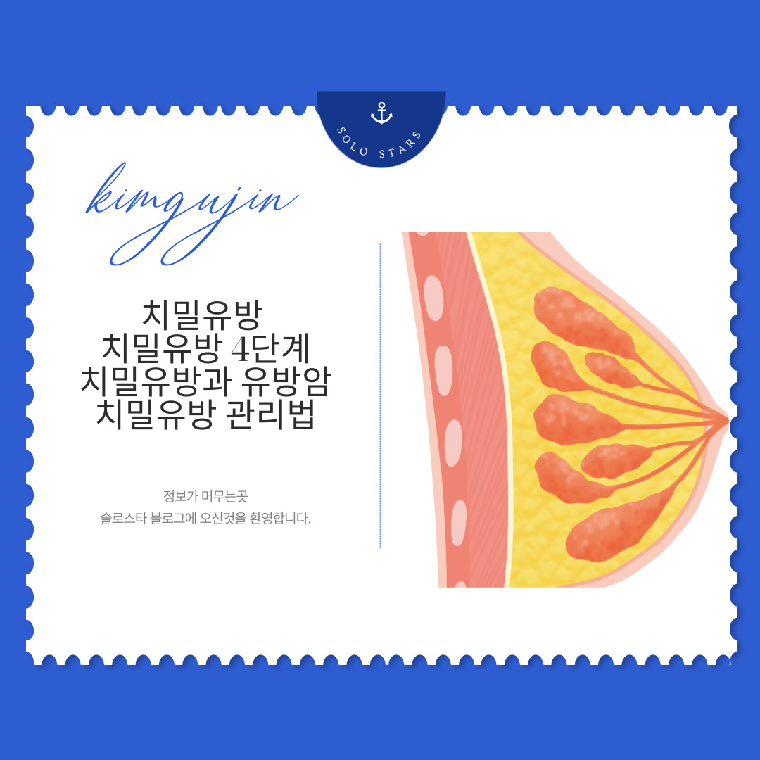 치밀유방 관련 그림