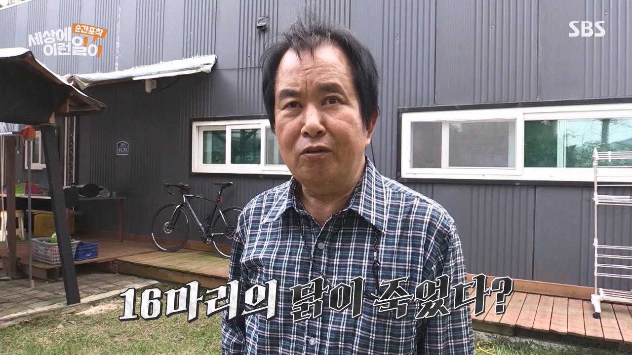 순간포착 세상에 이런일이.E1231.230604p-NEXT.mp4_20230609_202232.564.jpg