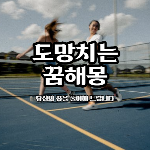 도망