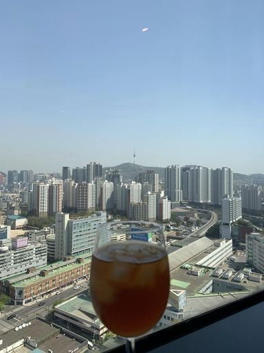 용산노보텔