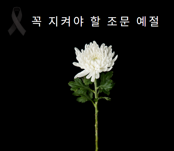 꼭 지켜야 할 조문 예절