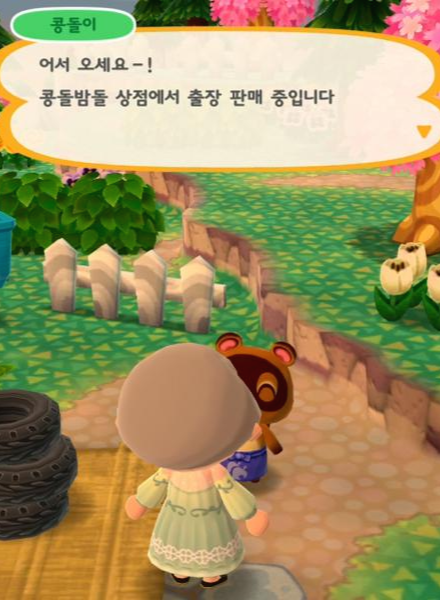 동물의 숲 포켓캠프 콩돌이