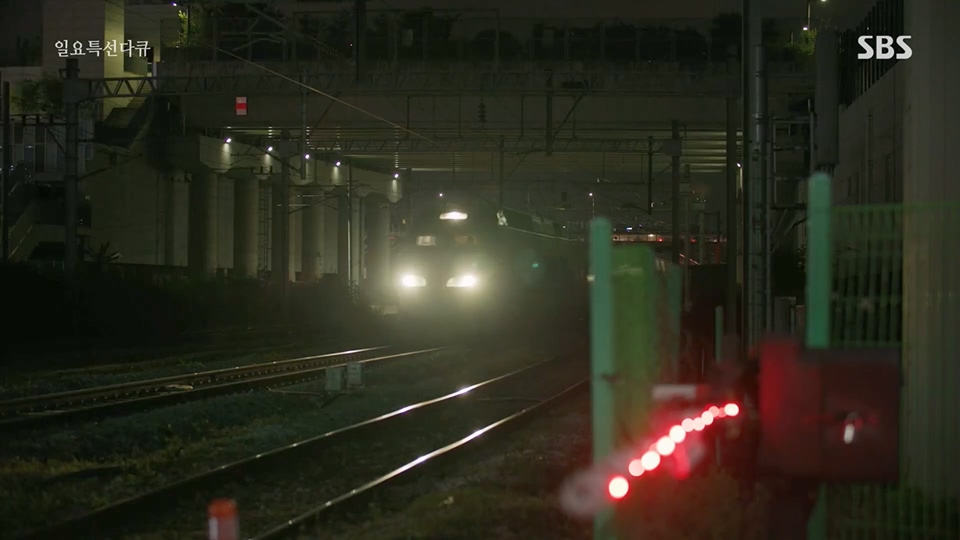 일요 특선 다큐멘터리.E315.230716p.H264-F1RST.mp4_20230717_210607.629.jpg