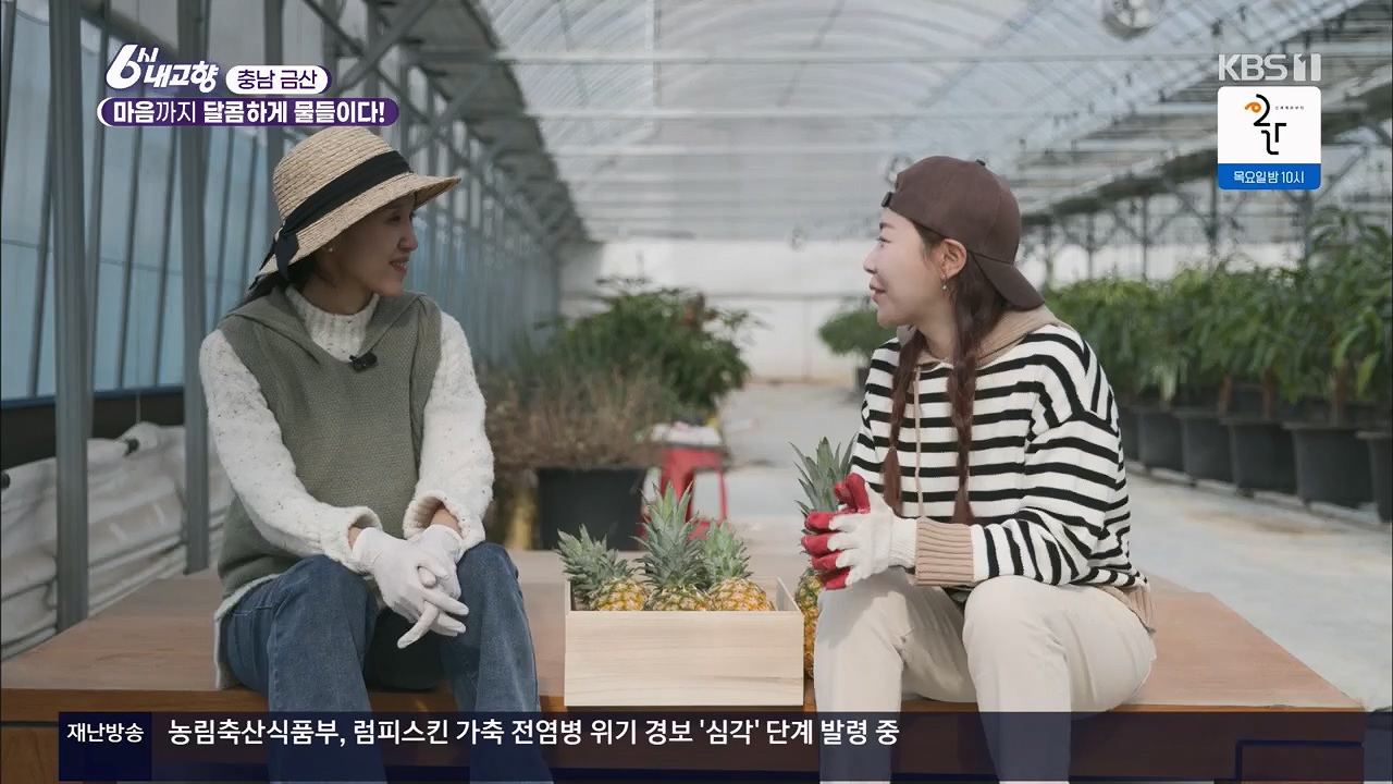 6시 내고향.E7922.231129p.H264-F1RST.mp4_20231129_203823.594.jpg
