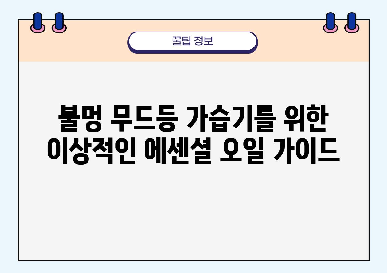 불멍 무드등 가습기를 위한 이상적인 에센셜 오일 설명서