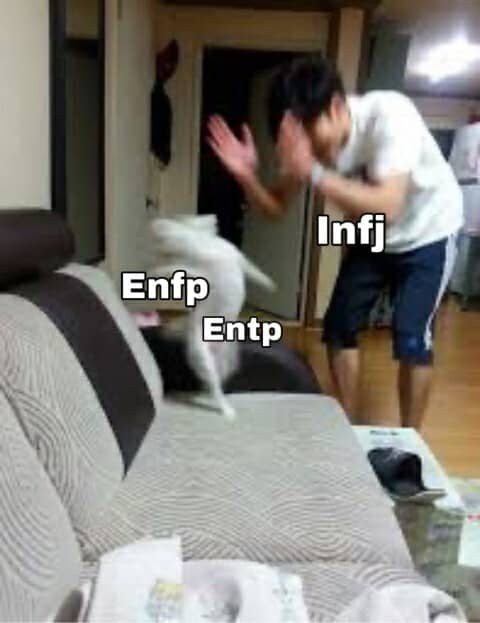 ENTP-INFJ