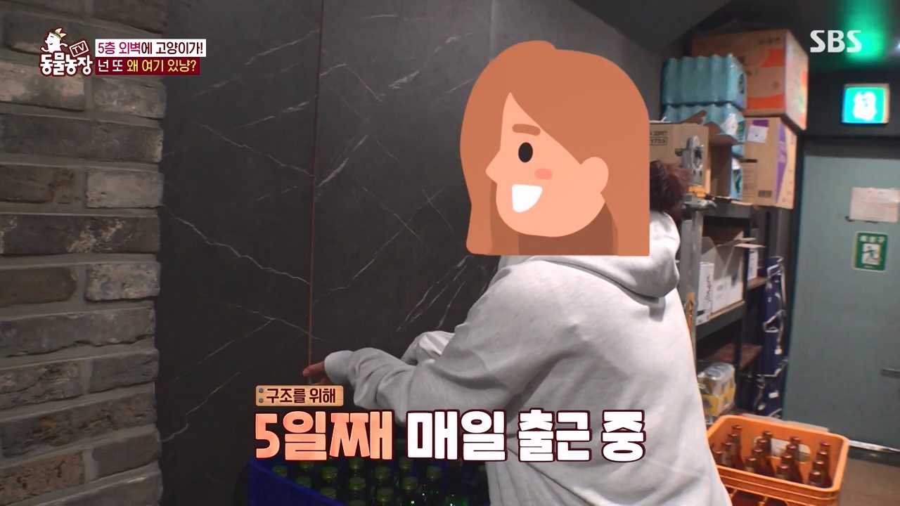 TV 동물농장.E1146.231120p-NEXT.mp4_20231119_175251.942.jpg