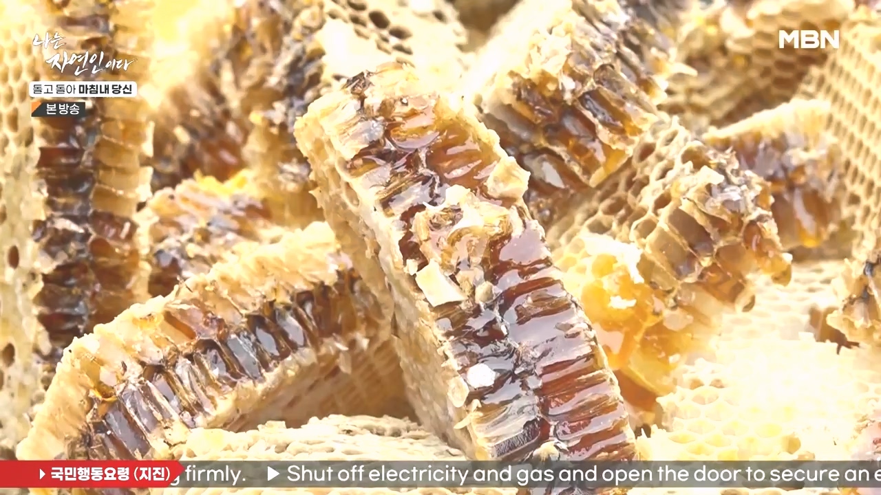 나는 자연인이다.E577.231026p-NEXT.mp4_20231026_200403.514.jpg