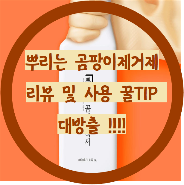  뿌리는 곰팡이제거제 리뷰 및 사용 꿀TIP 대방출 !!!!