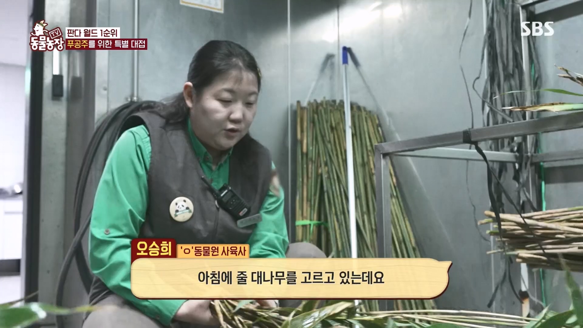 TV 동물농장.E1160.240225p.H264-F1RST.mp4_20240225_165128.781.jpg