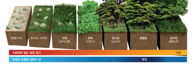 생명과학1: 5-4단원 (군집의 천이-천이와 극상, 천이에 영향을 미치는 요인)