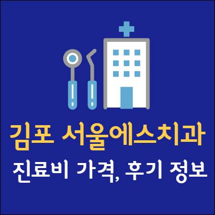 김포 서울에스치과 임플란트 치아교정 치과 사랑니 발치 신경 잇몸 통증 틀니 어린이