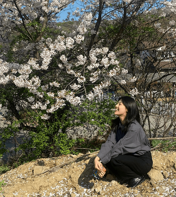 벚꽃-배우남지현