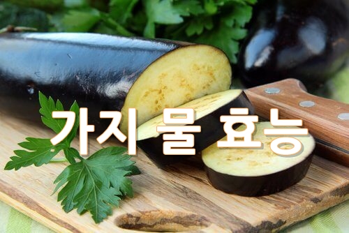  가지 물의 효능