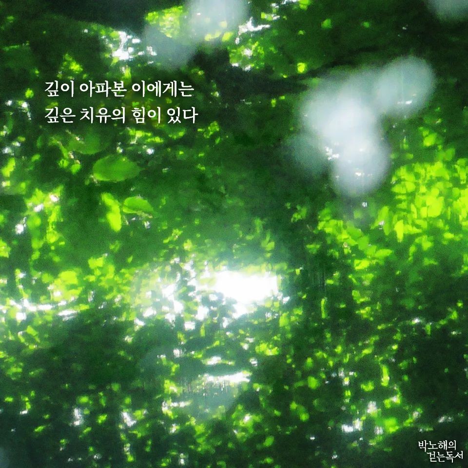 깊은치유 이미지