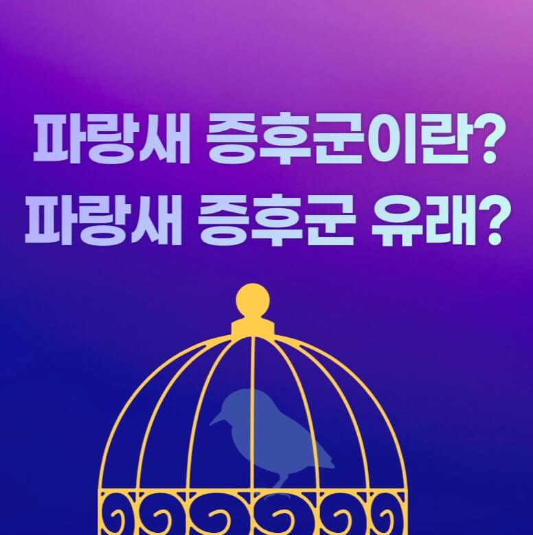  파랑새 증후군이란? 유래?