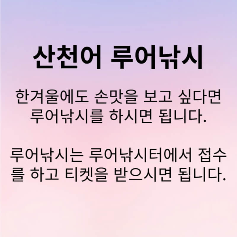 화천 산천어축제 예약