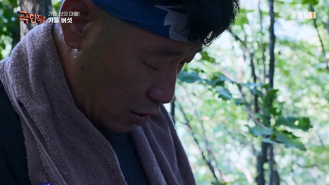 TV - 전 국민의 평생학교 EBS가을 산의 대물! 석청과 버섯.mp4_20230916_171700.204.jpg