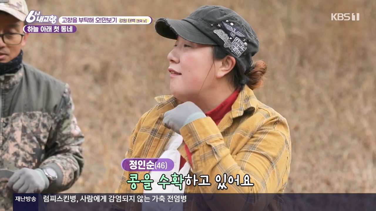 6시 내고향.E7910.231032p-NEXT.mp4_20231101_204612.492.jpg