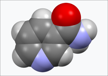 니코틴아마이드 분자모형