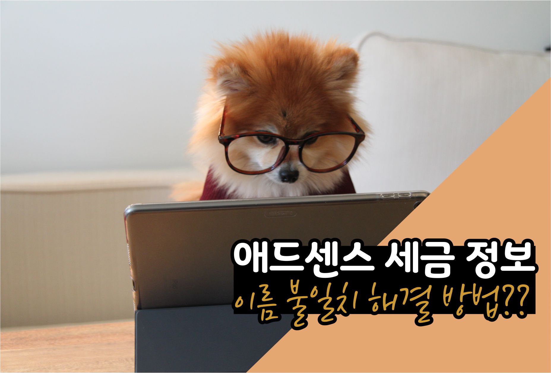  애드센스 세금 정보 이름 불일치? 간만에 들어왔더니 이게 뭐임? 해결법