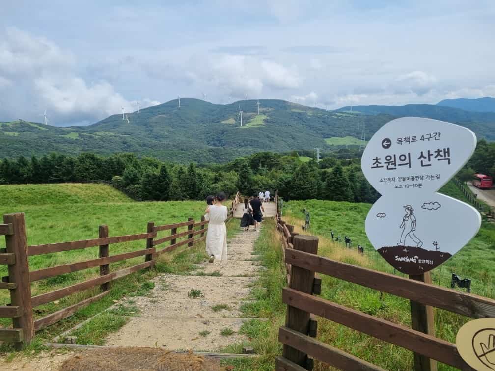 대관령 삼양목장 사랑의 기억